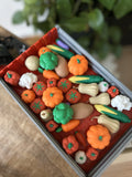 Montessori sortirni set – sadje in zelenjava